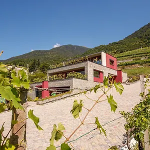 Bed & Breakfast Nebbiolo Wine, Castione Andevenno